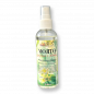 Preview: Mojito Spray Cleaner & Air Freshener 100ml