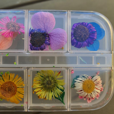 Dry Flowers Box 2